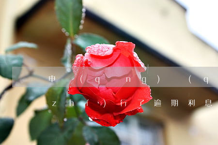 申請(qǐng)強(qiáng)制執(zhí)行了逾期利息怎么算-申請(qǐng)強(qiáng)制執(zhí)行了逾期利息怎么算的