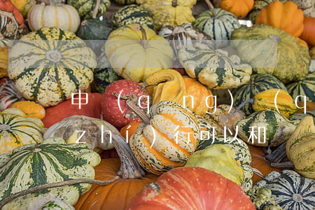申請(qǐng)強(qiáng)制執(zhí)行可以和訴訟同步進(jìn)行嗎(申請(qǐng)法院強(qiáng)制執(zhí)行屬于起訴嗎)