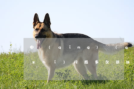 申請(qǐng)強(qiáng)制執(zhí)行后多久可以拿到錢(qián)(申請(qǐng)了強(qiáng)制執(zhí)行后,一般多久能拿到錢(qián))