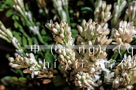 申請(qǐng)強(qiáng)制執(zhí)行還是拿不到錢(qián)怎么辦(申請(qǐng)強(qiáng)制執(zhí)行沒(méi)錢(qián)是不是永遠(yuǎn)拿不到)