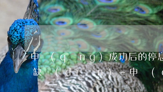 申請(qǐng)成功后的停息掛賬有什么缺點(diǎn)-申請(qǐng)停息掛賬成功后能查到嗎