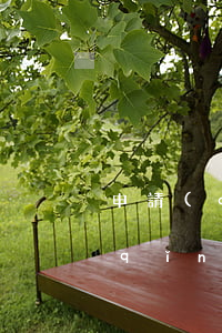 申請(qǐng)撤銷逾期范本(撤銷申請(qǐng)書(shū)范文)