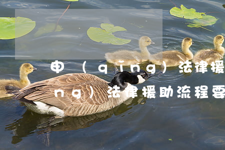 申請(qǐng)法律援助流程(申請(qǐng)法律援助流程要多少時(shí)間)