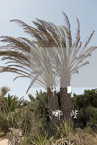 申請(qǐng)法律援助的條件和范圍有哪些