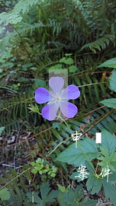 申請(qǐng)法律援助立案可以嗎(民事案件申請(qǐng)法律援助的條件)