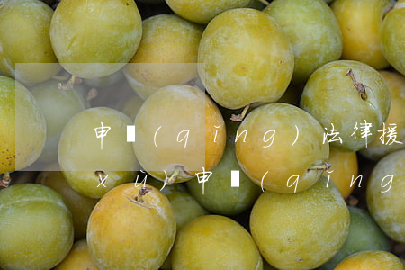 申請(qǐng)法律援助需要什么手續(xù)(申請(qǐng)法律援助在哪里申請(qǐng))