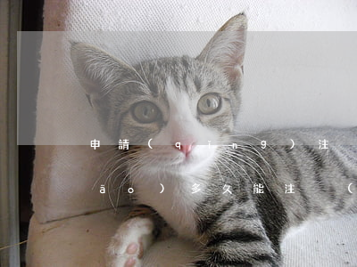 申請(qǐng)注冊(cè)商標(biāo)多久能注冊(cè)下來（商標(biāo)注冊(cè)怎么申請(qǐng)）