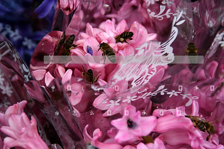 申請(qǐng)繼承遺產(chǎn)理由怎么寫(繼承遺產(chǎn)委托書怎么寫)