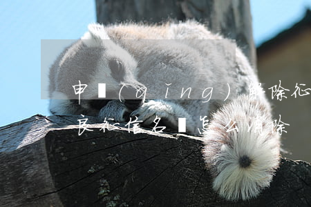 申請(qǐng)解除征信不良記錄（逾期不良征信名單怎么消除）
