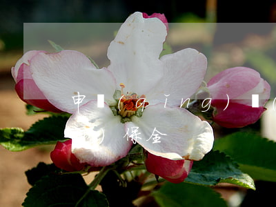 申請(qǐng)財(cái)產(chǎn)保全