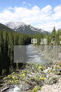 申請(qǐng)退款怎么退款(怎么退款?)
