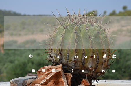 申請(qǐng)退款關(guān)閉了如何申請(qǐng)退款，退款關(guān)閉了怎么申請(qǐng)退款