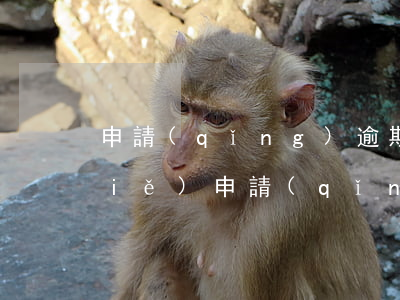申請(qǐng)逾期分期還款怎么寫(xiě)(申請(qǐng)逾期分期還款怎么寫(xiě))