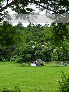 申請(qǐng)過(guò)多網(wǎng)貸沒(méi)逾期 網(wǎng)貸過(guò)多沒(méi)有逾期