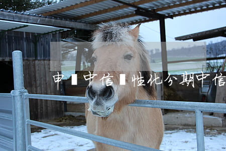 申請中信個性化分期(中信個性化還款)