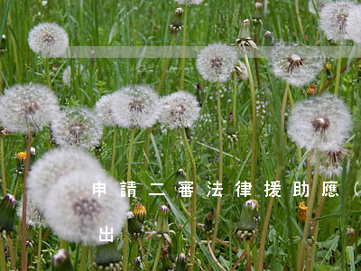 申請二審法律援助應(yīng)該向誰提出
