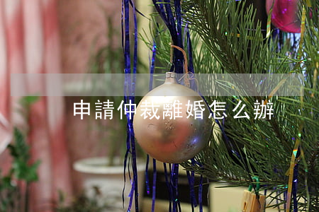 申請仲裁離婚怎么辦
