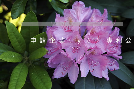 申請企業(yè)專利(公司申請專利)