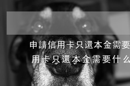 申請信用卡只還本金需要什么條件-申請信用卡只還本金需要什么條件呢