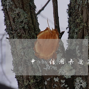 申請信用卡逾期會怎樣(辦信用卡逾期了怎么辦)