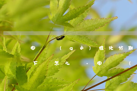 申請個(gè)性化分期協(xié)商不下來怎么辦-申請個(gè)性化分期協(xié)商不下來怎么辦呢
