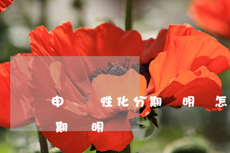 申請個性化分期說明書怎么寫（申請個性化分期說明）