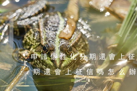 申請個性化分期還會上征信嗎(申請個性化分期還會上征信嗎怎么辦)
