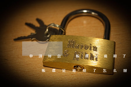 申請停息掛帳還是逾期了怎么辦-申請停息掛帳還是逾期了怎么辦?