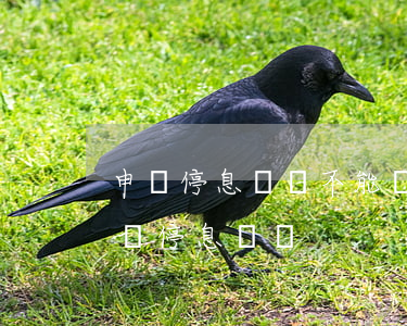 申請停息掛賬不能說的話(什么情況下可以申請停息掛賬)