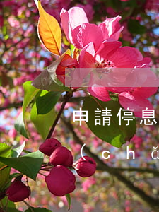 申請停息掛賬個(gè)人財(cái)產(chǎn)會被抵押嗎-申請停息掛賬個(gè)人財(cái)產(chǎn)會被抵押嗎知乎