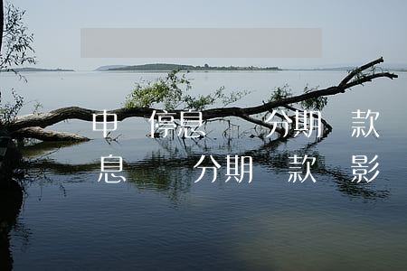 申請停息掛賬分期還款會影響什么-申請停息掛賬分期還款會影響什么嗎