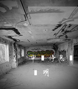申請停息掛賬可以作假嗎(停息掛賬需要什么證明)