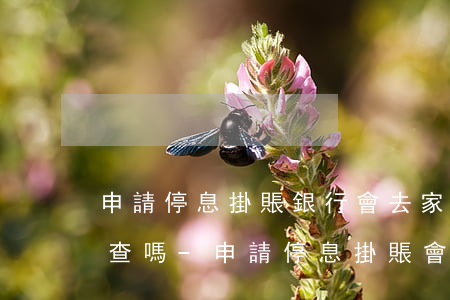 申請停息掛賬銀行會去家里調(diào)查嗎-申請停息掛賬會聯(lián)系家人嗎
