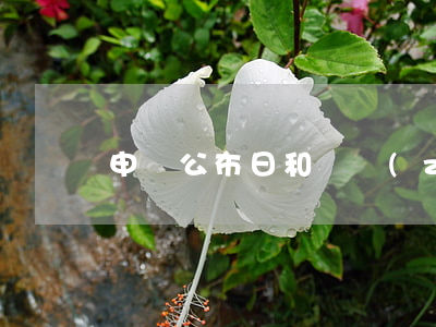 申請公布日和實質(zhì)審查的時間