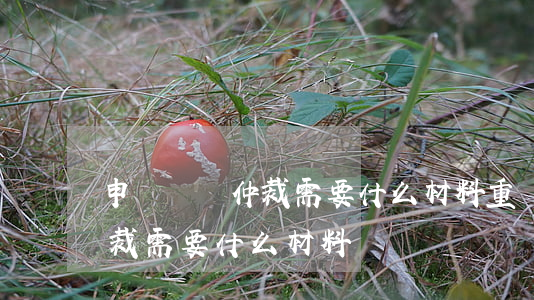 申請勞動仲裁需要什么材料(重慶申請勞動仲裁需要什么材料)