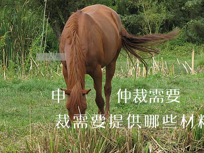 申請勞動仲裁需要準備什么資料(申請勞動仲裁需要提供哪些材料)