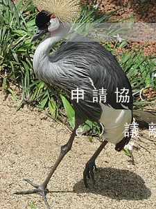 申請協(xié)議離婚流程(最新協(xié)議離婚流程)