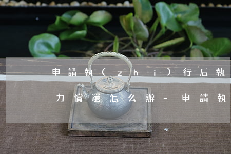 申請執(zhí)行后執(zhí)行人無力償還怎么辦-申請執(zhí)行后執(zhí)行人無力償還怎么辦呢