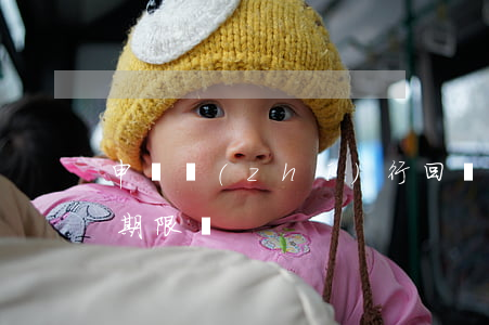 申請執(zhí)行回轉(zhuǎn)有期限嗎