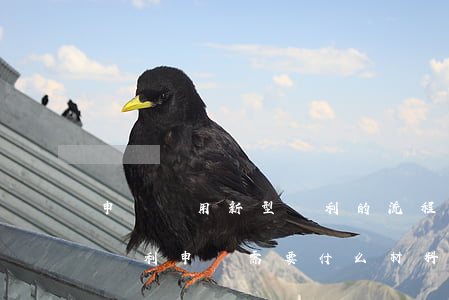 申請實用新型專利的流程是怎樣的（實用新型專利申請需要什么材料）