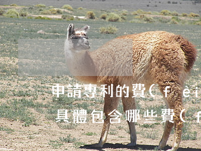申請專利的費(fèi)用是多少,專利申請具體包含哪些費(fèi)用