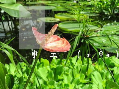 申請工傷認(rèn)定單要怎么填寫
