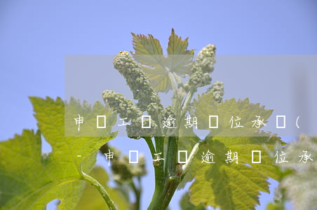 申請工傷逾期單位承擔(dān)什么費用-申請工傷逾期單位承擔(dān)什么費用呢