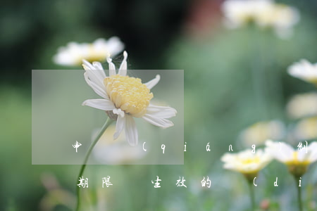 申請強(qiáng)制執(zhí)行有期限嗎(生效的調(diào)解書申請強(qiáng)制執(zhí)行有期限嗎)