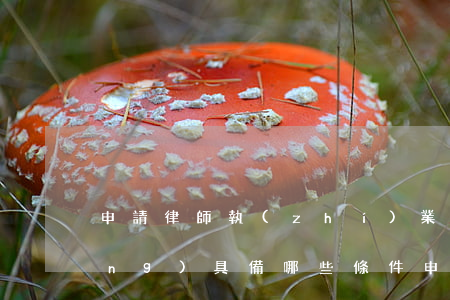 申請律師執(zhí)業(yè)應(yīng)具備哪些條件(申請律師執(zhí)業(yè)應(yīng)向哪一部門申請)