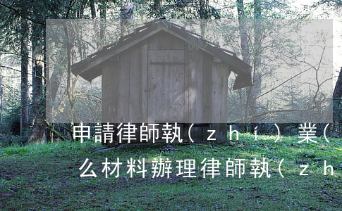 申請律師執(zhí)業(yè)證需要什么材料(辦理律師執(zhí)業(yè)證的資料)