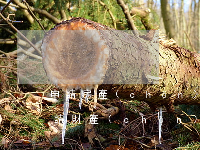 申請房產(chǎn)保全后法院怎么做(申請財產(chǎn)保全后法院怎么做,結(jié)果是什么)
