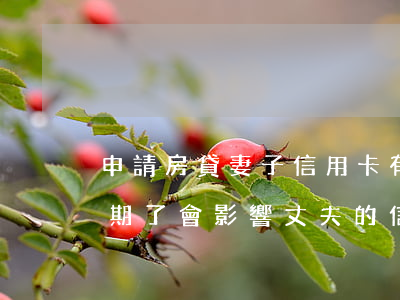 申請房貸妻子信用卡有逾期(妻子的信用卡逾期了會影響丈夫的信用卡嗎)