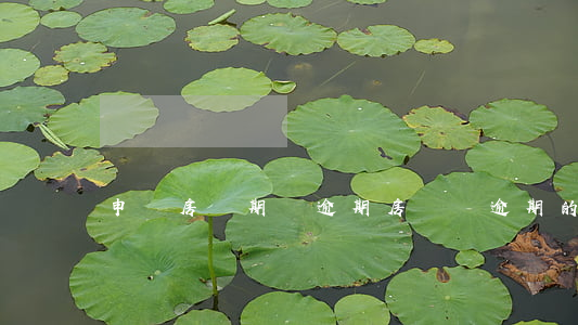 申請房貸期間逾期(房貸對逾期的要求)