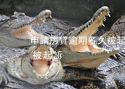 申請房貸逾期多久被起訴(房貸款逾期多久會被起訴)